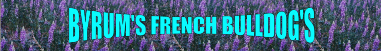 Byrum's French Bulldogs